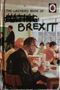 Christie’s Ladybird Book of Brexit, featured in her show. Photograph: Martin Godwin for the Guardian